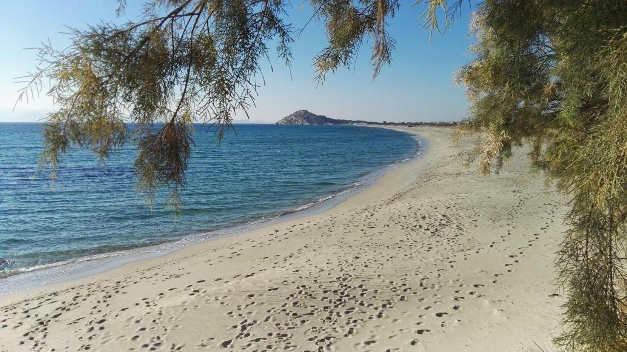 Naxos Is The Way Lejlighed Kastrákion Eksteriør billede